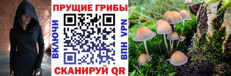 Галлюциногенные грибы мухоморы  Купить закладки  Кремёнки 